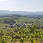 아파트 Gaestehaus Casa Luna - Paradiesische Am Kaiserstuhl! Bischoffingen