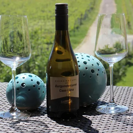 Gaestehaus Casa Luna - Paradiesische Am Kaiserstuhl! Bischoffingen