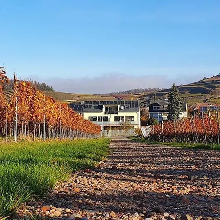 Gaestehaus Casa Luna - Paradiesische Am Kaiserstuhl! Apartman Bischoffingen