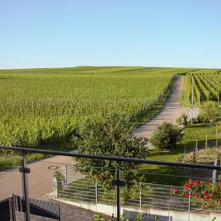 Gaestehaus Casa Luna - Paradiesische Am Kaiserstuhl! *