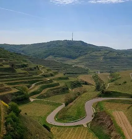 Gaestehaus Casa Luna - Paradiesische Am Kaiserstuhl! Apartman Bischoffingen