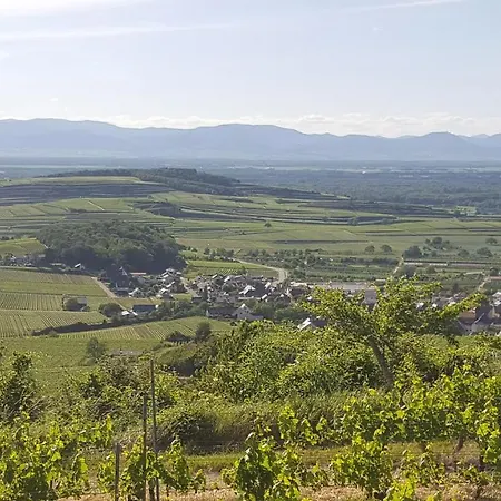 Apartman Gaestehaus Casa Luna - Paradiesische Am Kaiserstuhl! Bischoffingen