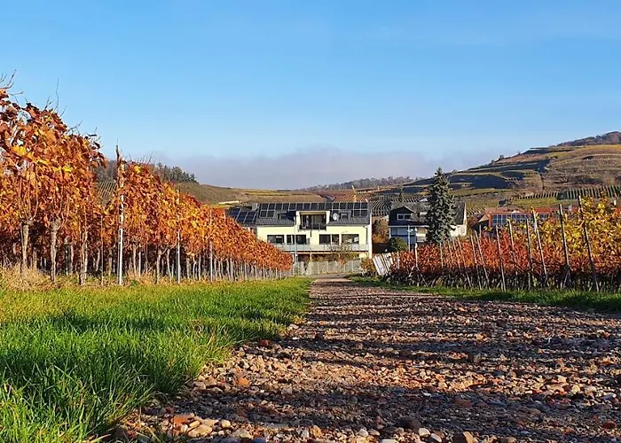 Gaestehaus Casa Luna - Paradiesische Am Kaiserstuhl! Διαμέρισμα Bischoffingen