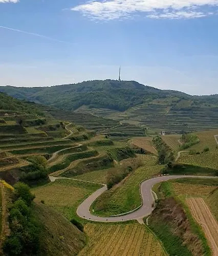 Gaestehaus Casa Luna - Paradiesische Am Kaiserstuhl! Διαμέρισμα Bischoffingen